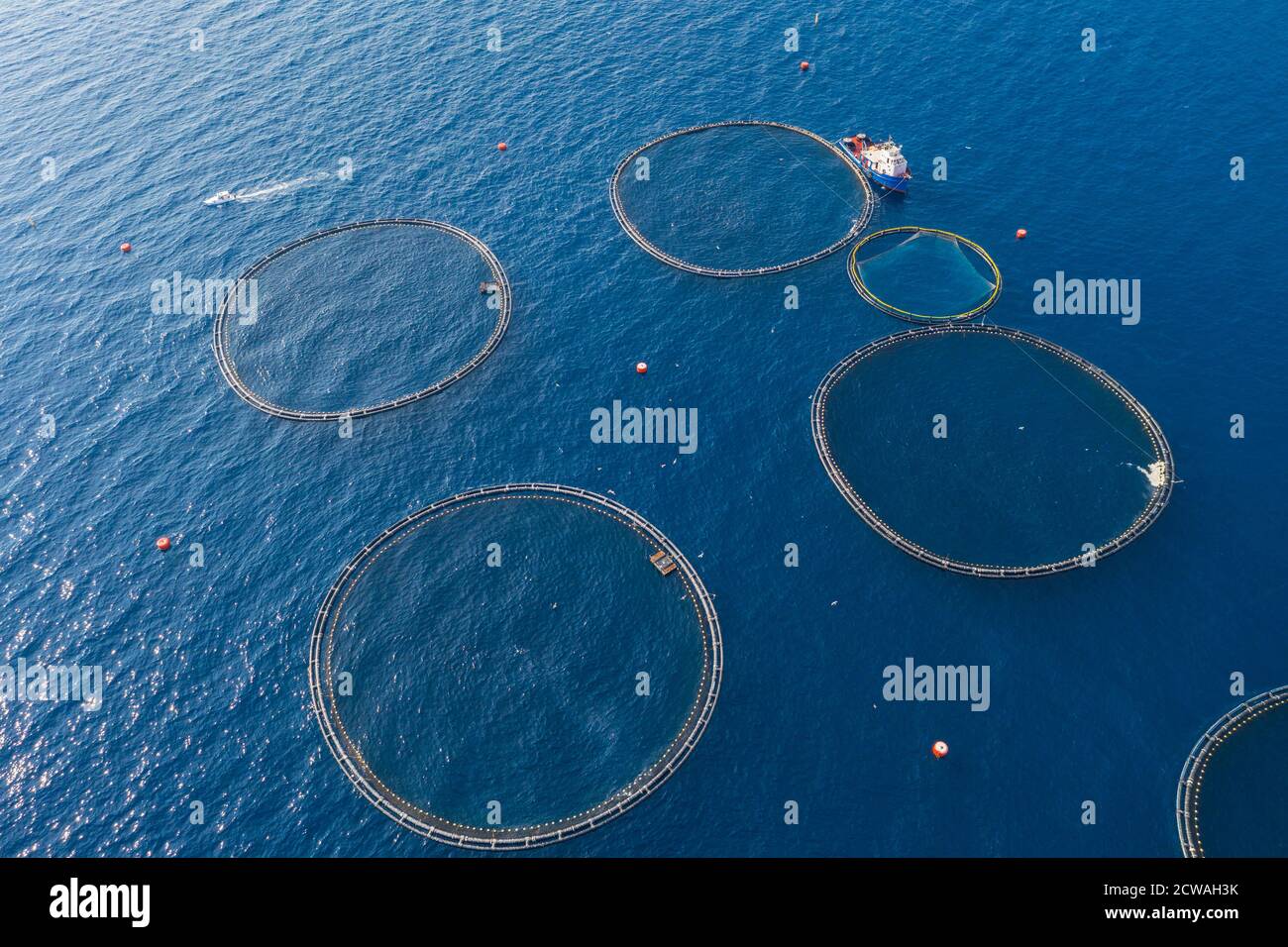 Fish farm from above Stock Photo