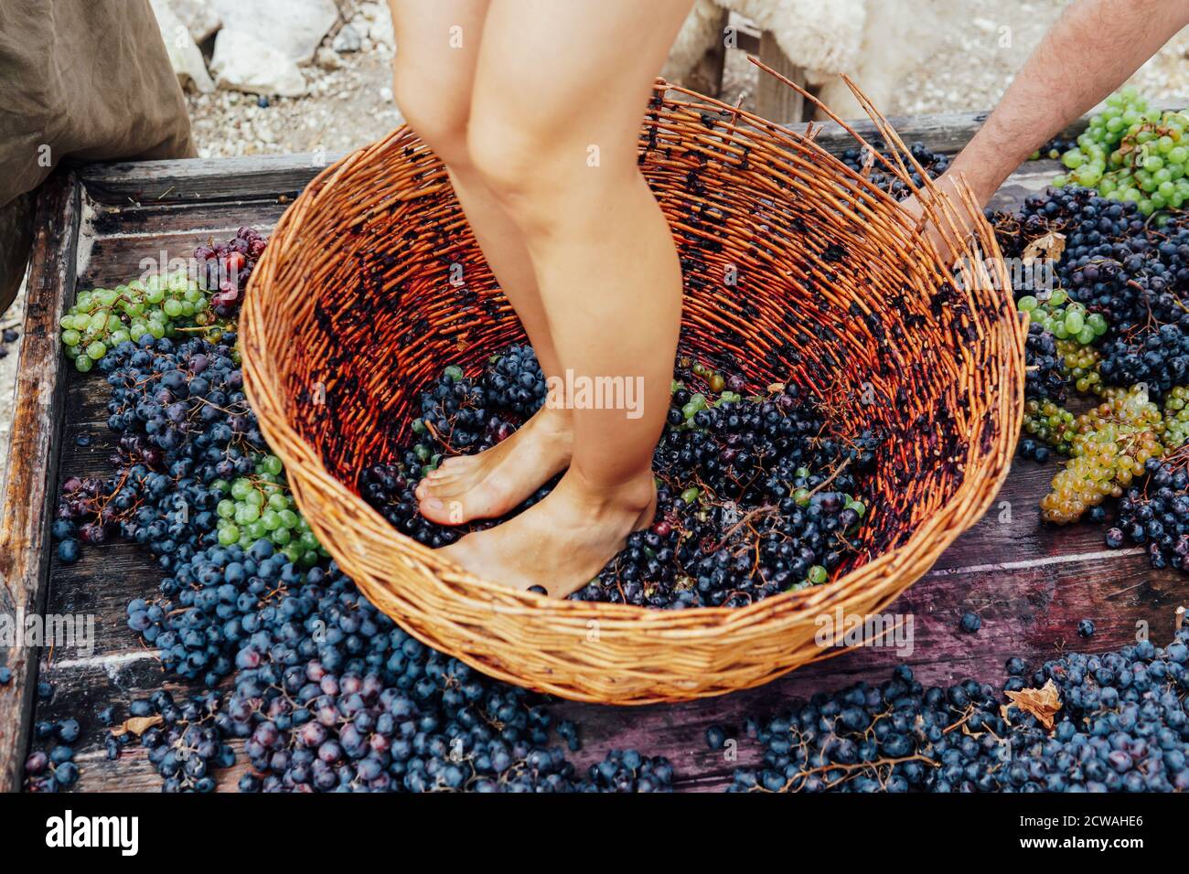 Grape stomping italy hires stock photography and images Alamy