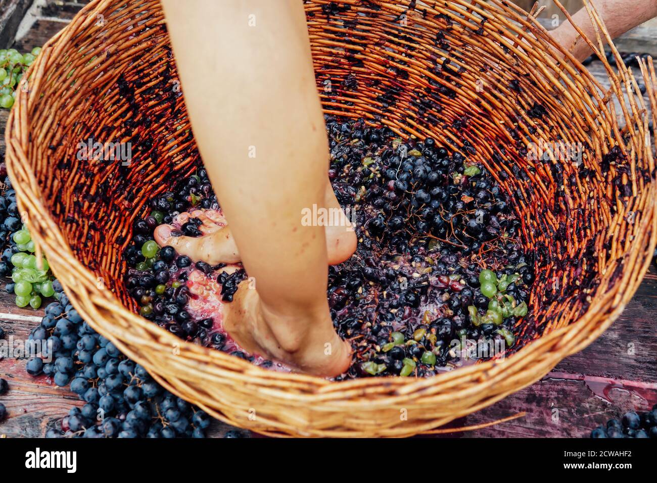Grape stomping italy hires stock photography and images Alamy