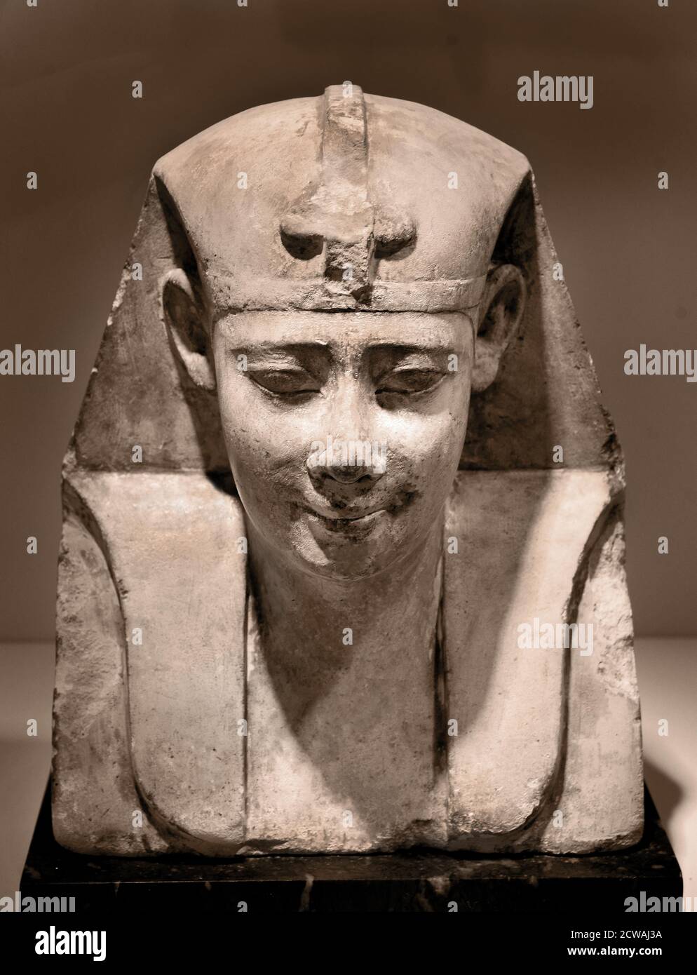 Ptolemy I Soter, the First King of Ancient Egypt's Ptolemaic Dynasty