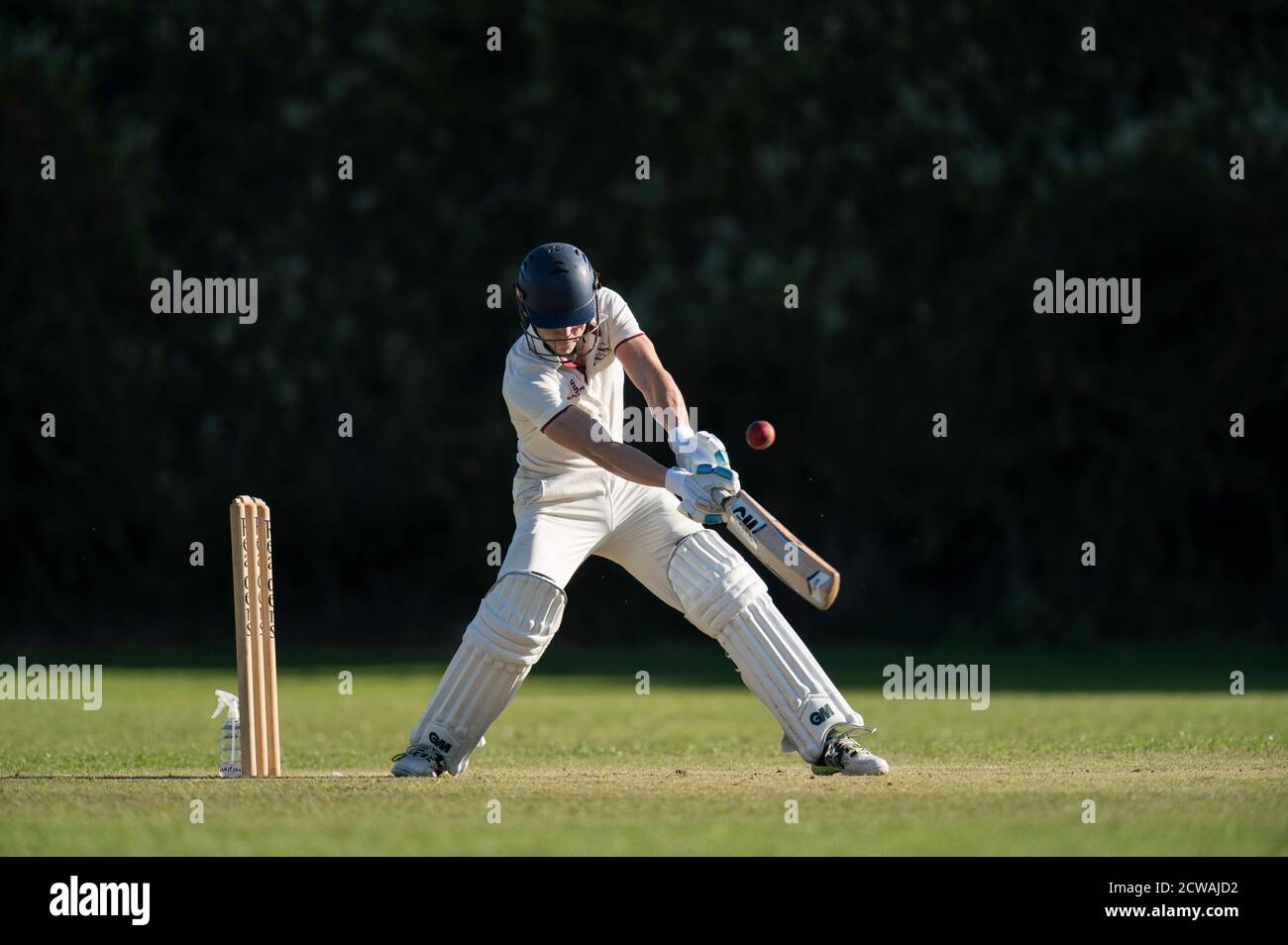 Sport cricket head shot bat hi-res stock photography and images - Alamy