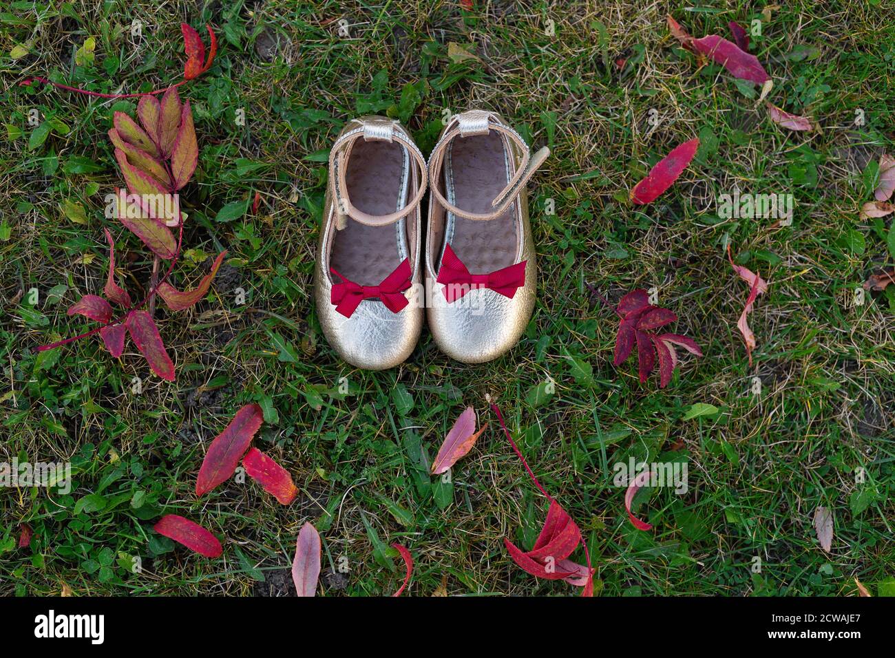 Beautiful baby silver shoes stand on the ground with autumn leaves. Red leaves lie on green grass. Shoes with red bows. View from above. Flat layout Stock Photo