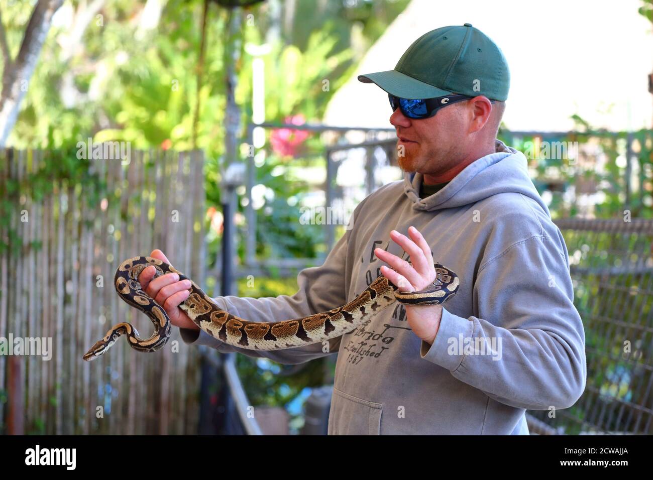 An animal handler showing a snake to the audience of the reptile show
