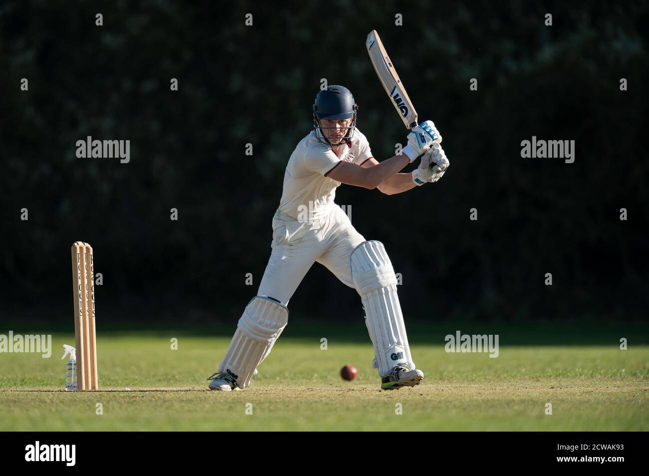 Cricket batsman playing shot Stock Photo Alamy