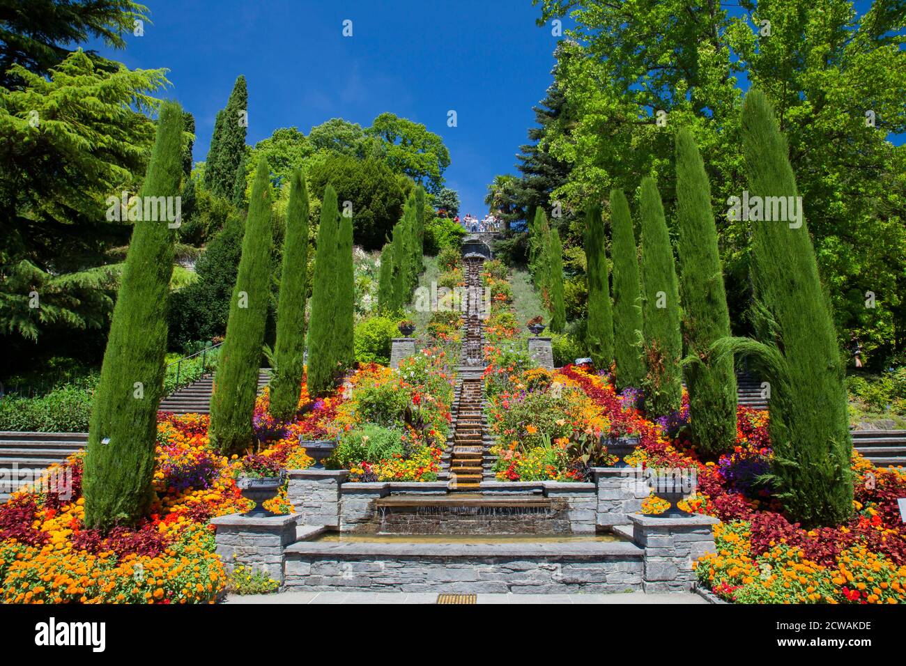 Italy Flower stairs and bed of flowers, Mainau Island, Baden-Württemberg, Germany, Europe Stock Photo