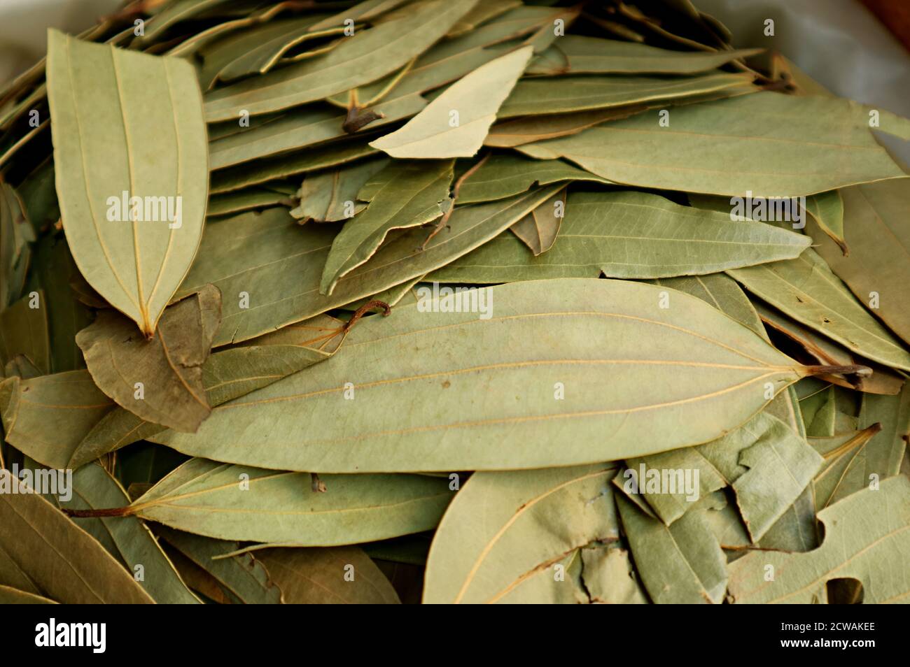 Dried Indian Bay Leaves with 3 Veins Running the Length of the Leaf