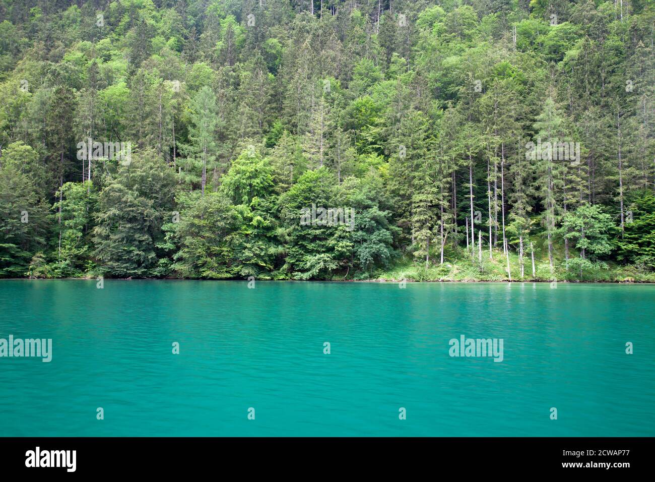 Lake Königssee , Berchtesgaden National Park, Berchtesgaden area, Upper ...