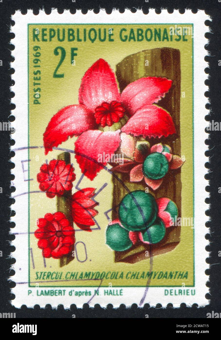 GABON - CIRCA 1969: stamp printed by Gabon, shows Chlamydocola chlamydantha, circa 1969 Stock Photo