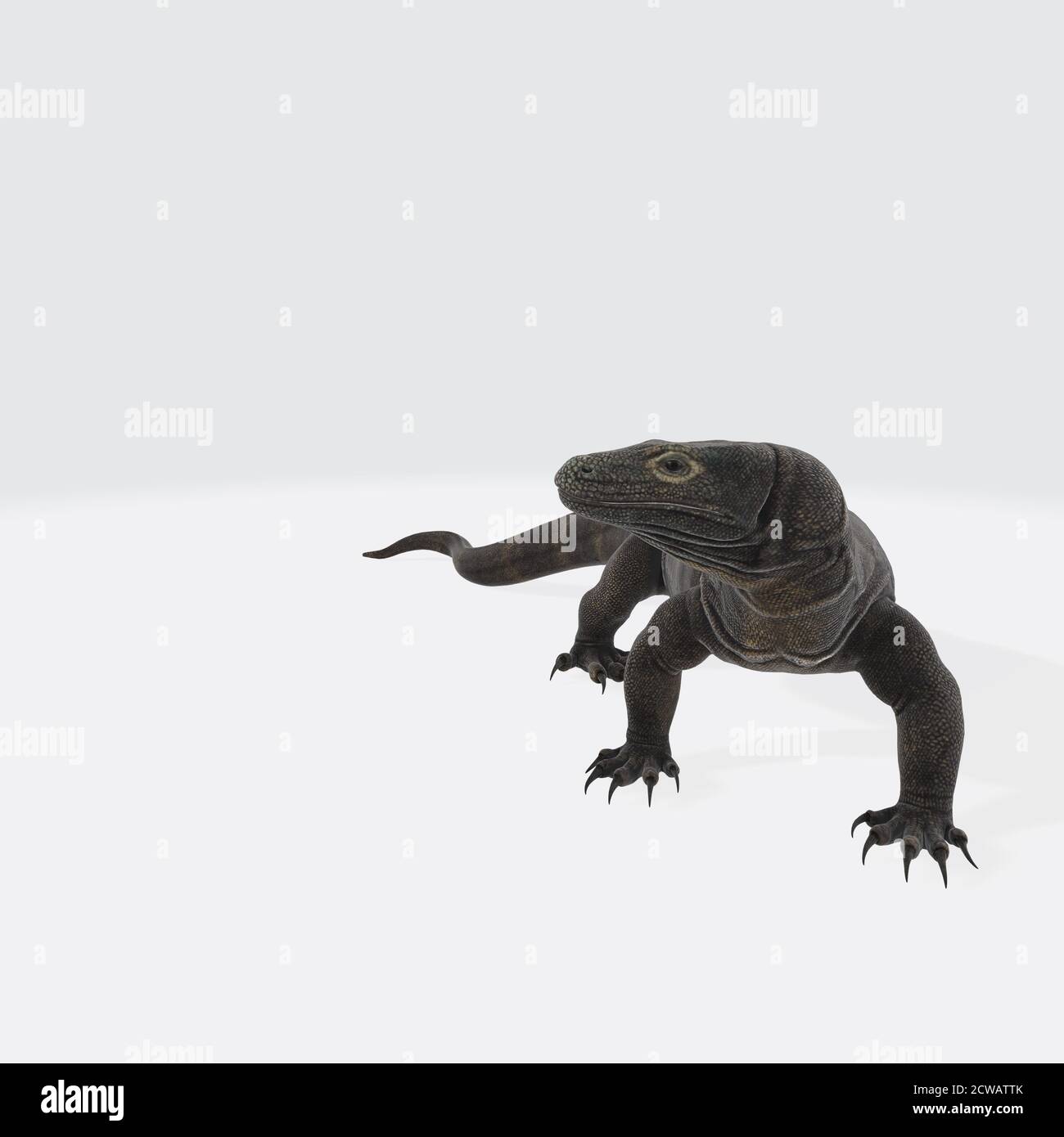 3d illustration of a komodo dragon on a white background Stock Photo ...