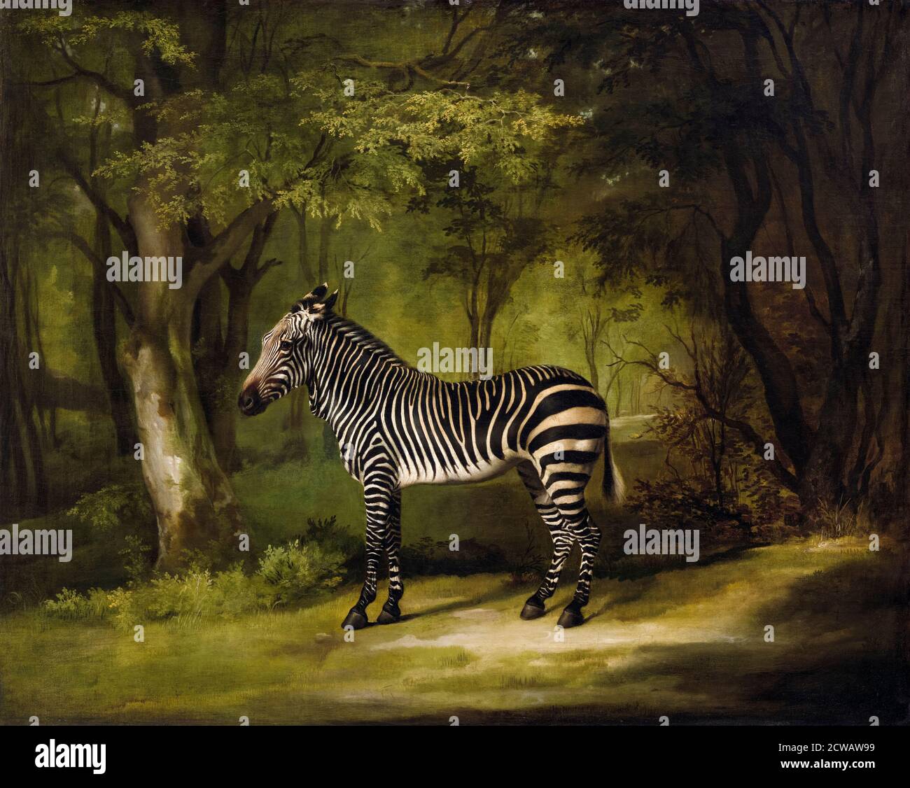 Tableau Zèbre 1763 George Stubbs – Impression Sur Toile, Neuf