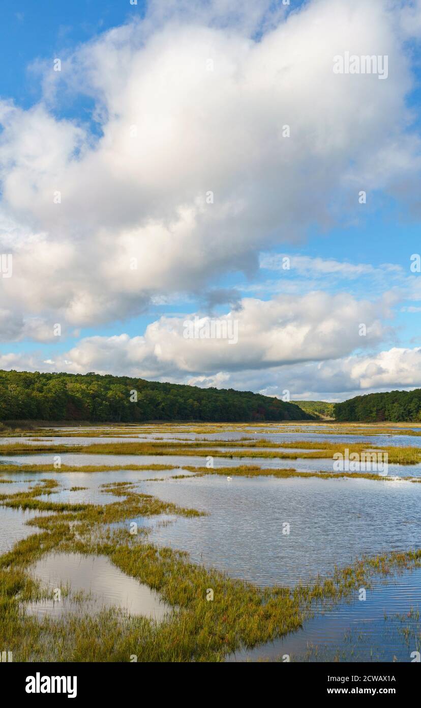 Vertical view of cumulus clouds over Bride Brook Salt Marsh, Rocky Neck State Park, Niantic, East Lyme, Connecticut. Stock Photo