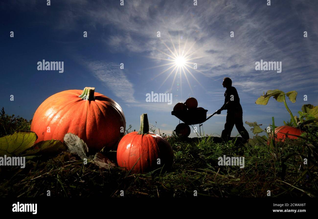 Tomas spalovsky hires stock photography and images Alamy