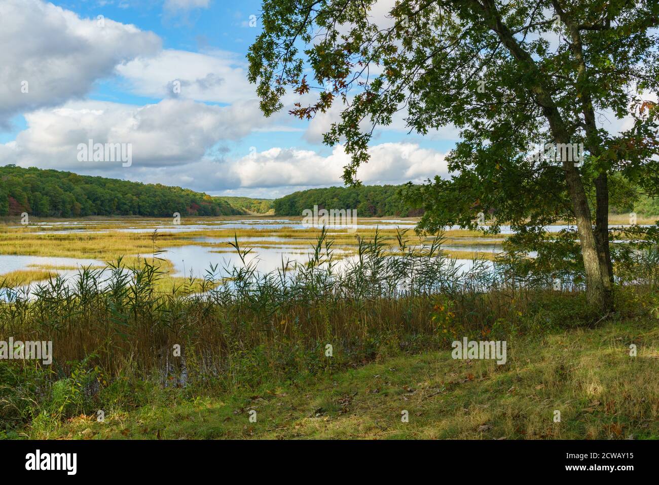 Bride Brook Salt Marsh, Rocky Neck State Park, Niantic, East Lyme, Connecticut, in autumn with cumulus clouds. Stock Photo