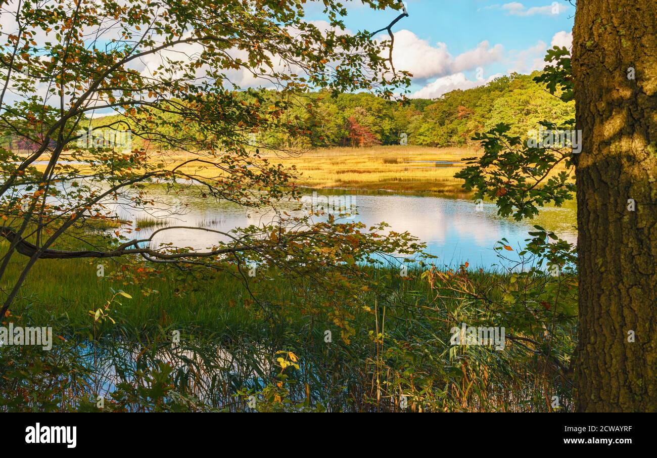 Fall colors, October in Connecticut, Bride Brook Salt Marsh, Rocky Neck State Park, Niantic, East Lyme, CT. Stock Photo