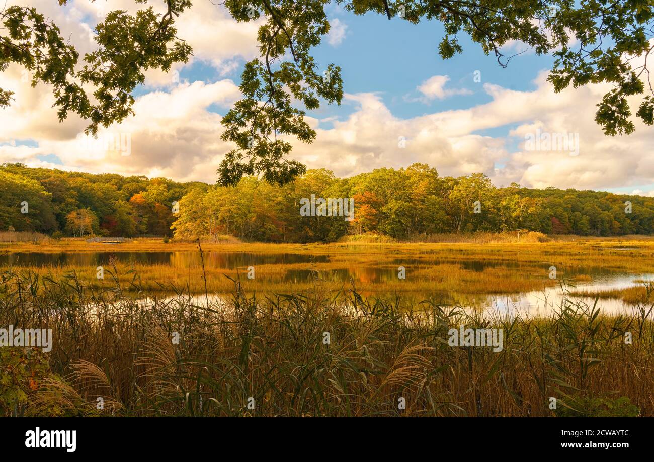 Autumn color, October in Connecticut, Bride Brook Salt Marsh, Rocky Neck State Park, Niantic, East Lyme, CT. Stock Photo