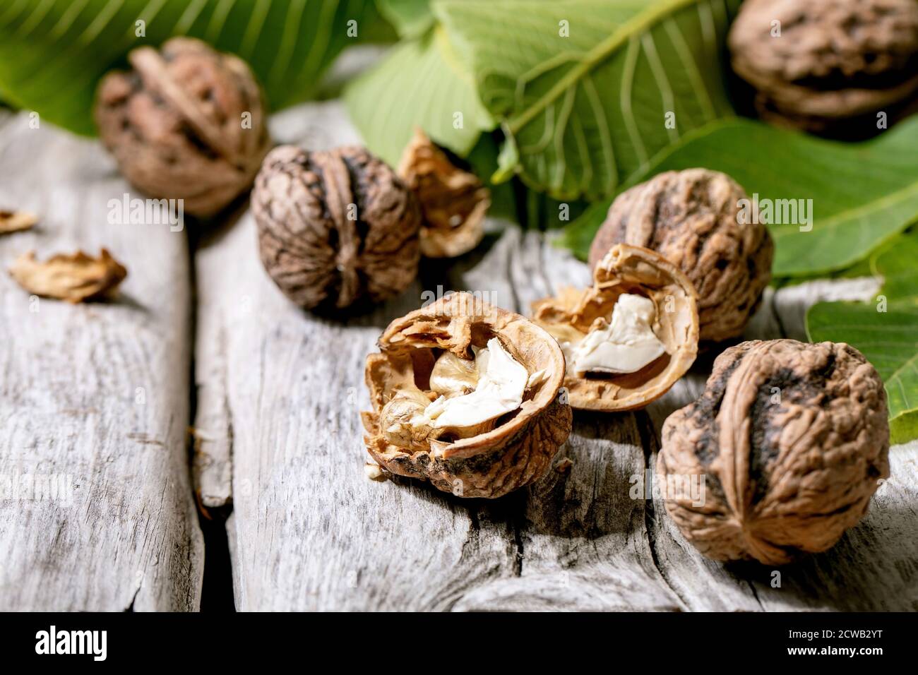 Organic walnuts, whole and broken, with green leaves of walnut tree over old wooden background. Close up Stock Photo