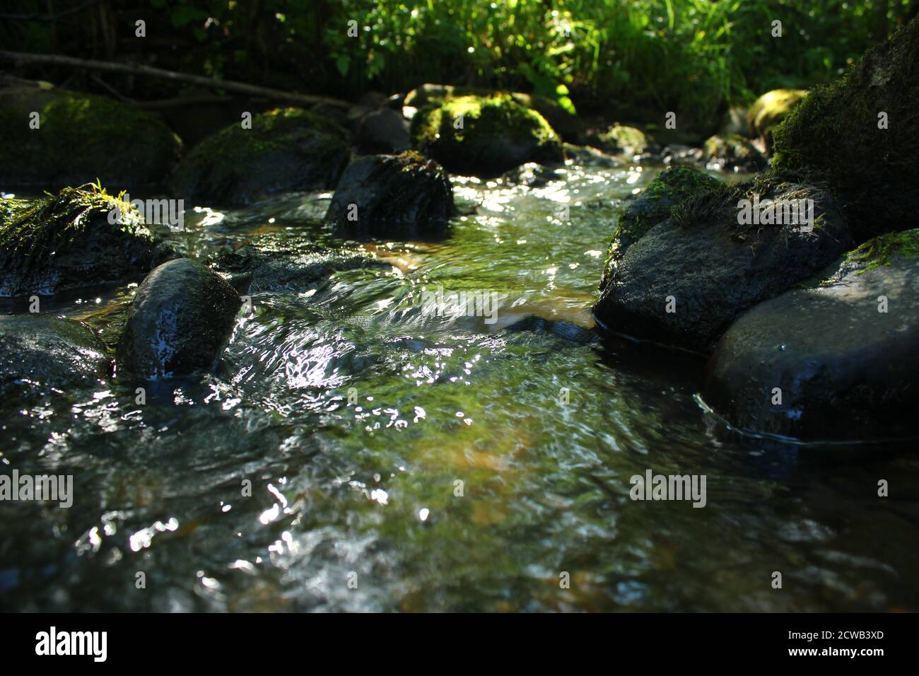 Close up of the stream of a brook with stones Stock Photo