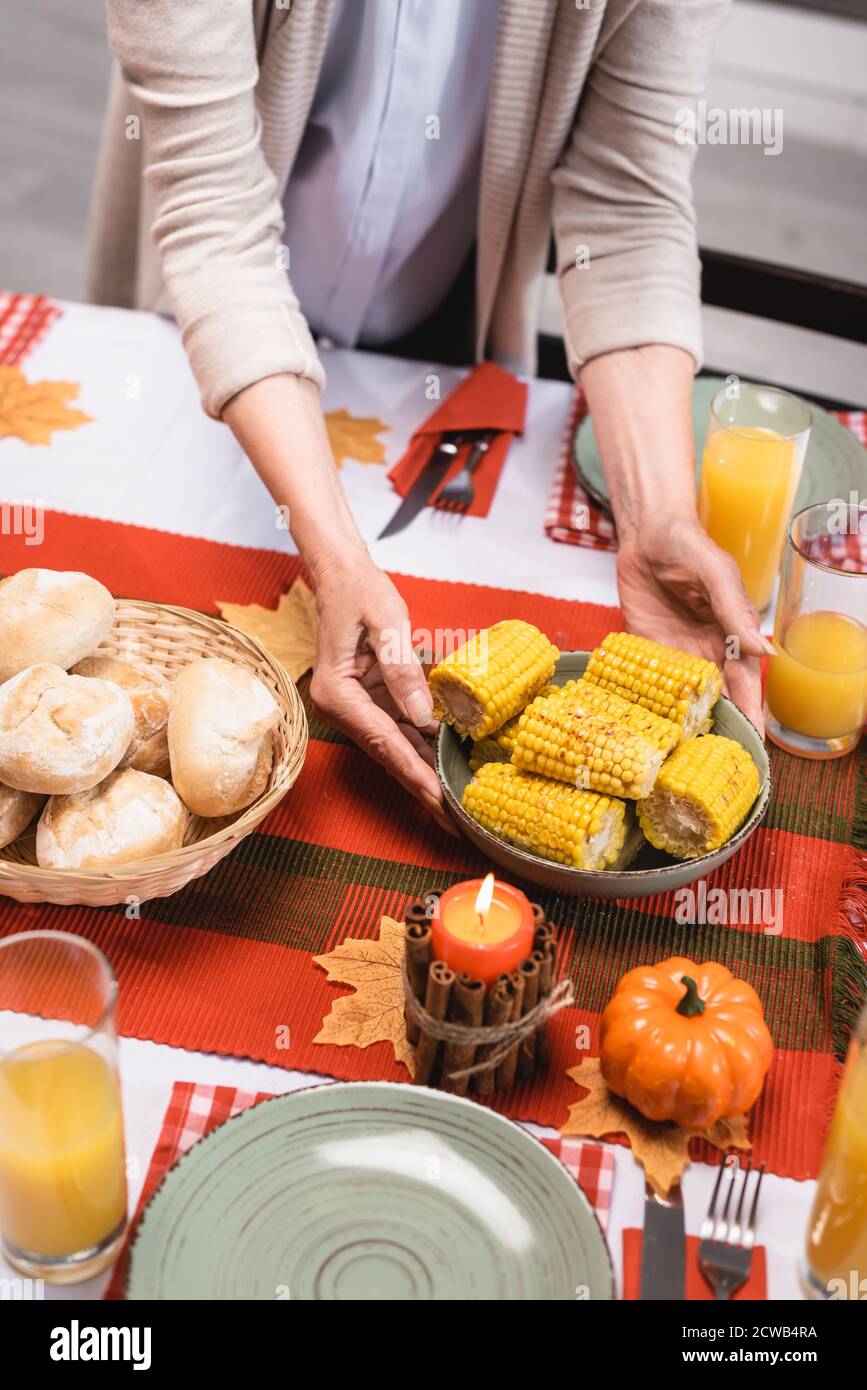 Cropped view of senior woman putting plate with corn on table near thanksgiving decorations Stock Photo