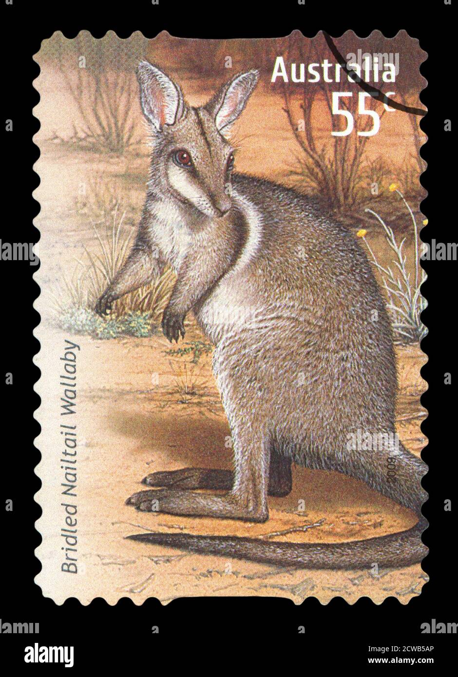 AUSTRALIA - CIRCA 2009: A Cancelled postage stamp from Australia illustrating Australian Wallaby, issued in 2009. Stock Photo