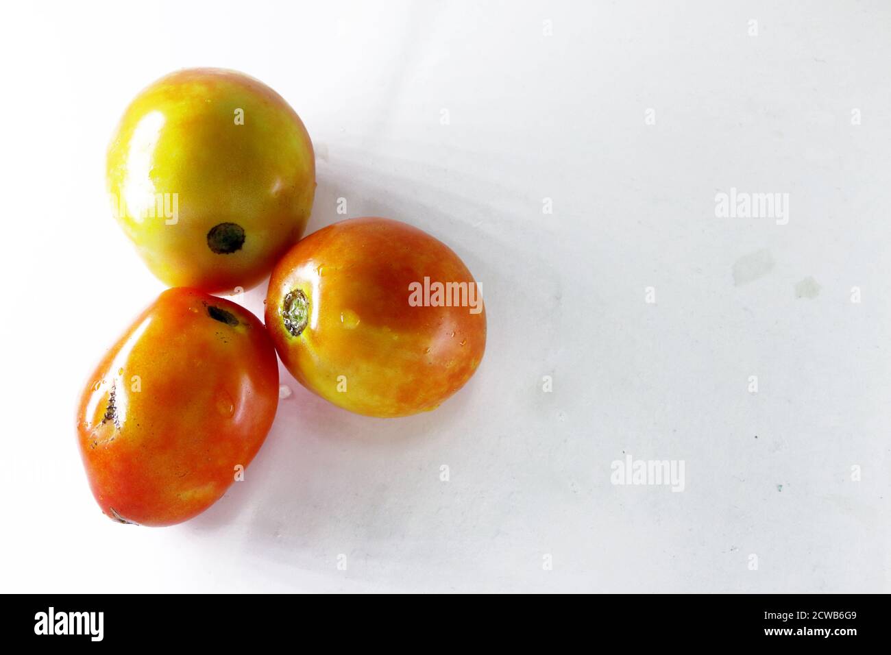 Three red Tomatoes isolated with white background Stock Photo - Alamy