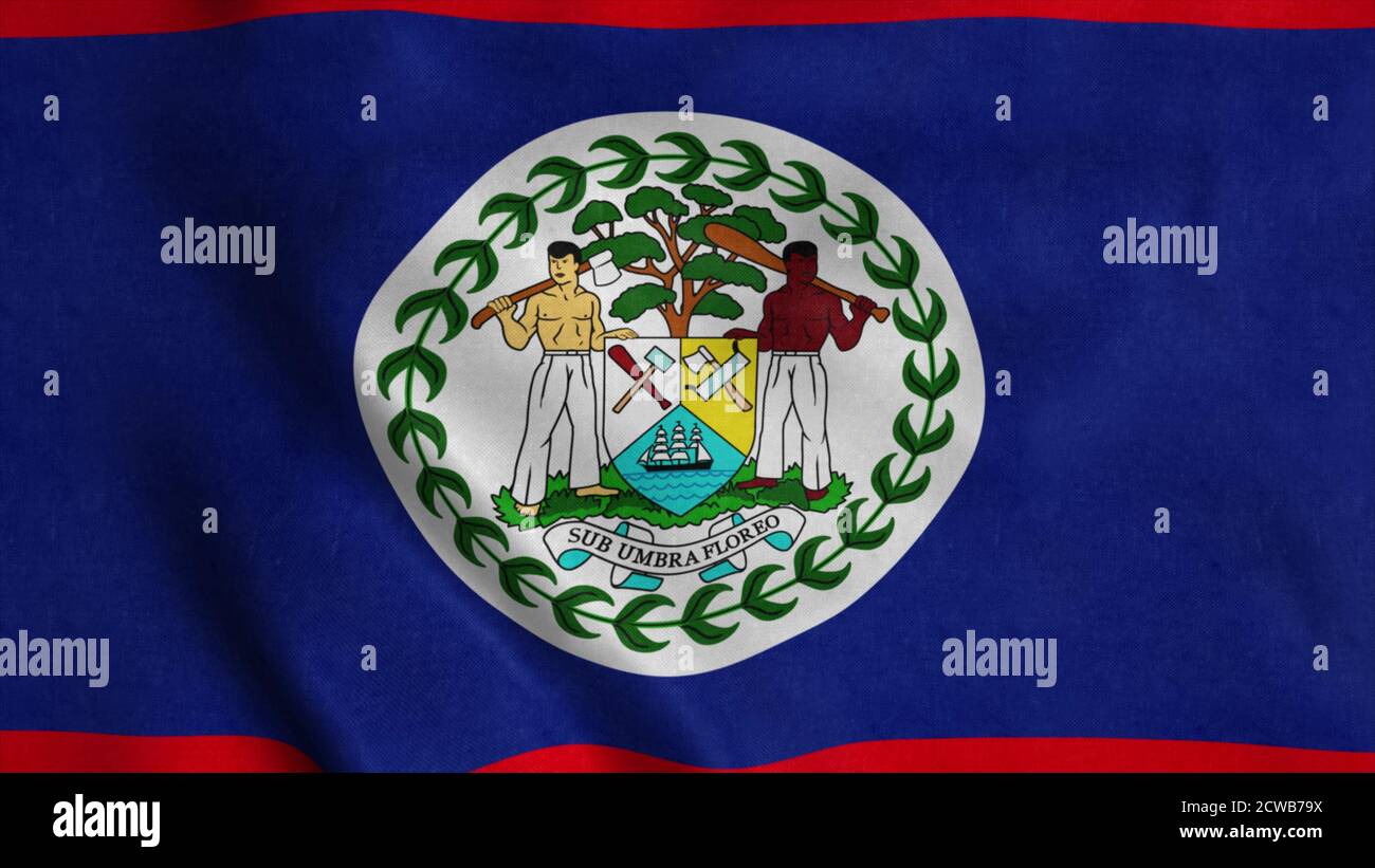 Belize flag waving in the wind. 3d illustration Stock Photo - Alamy