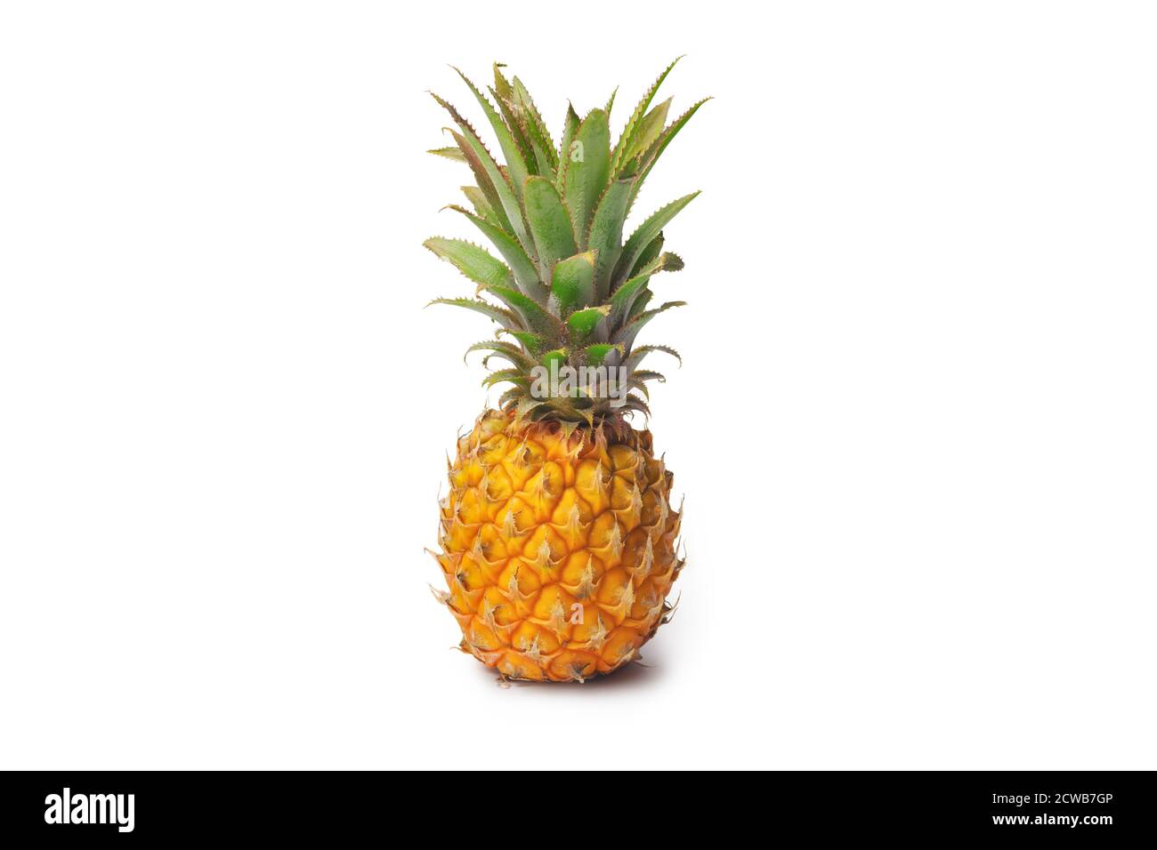 Isolated pineapple on a white background. Exotic fruits. Stock Photo