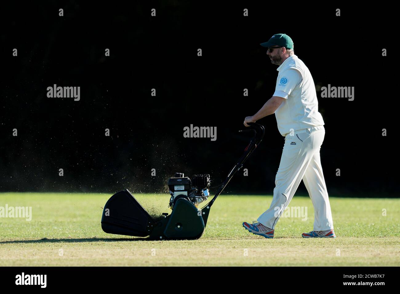 Mowing cricket wicket. Stock Photo