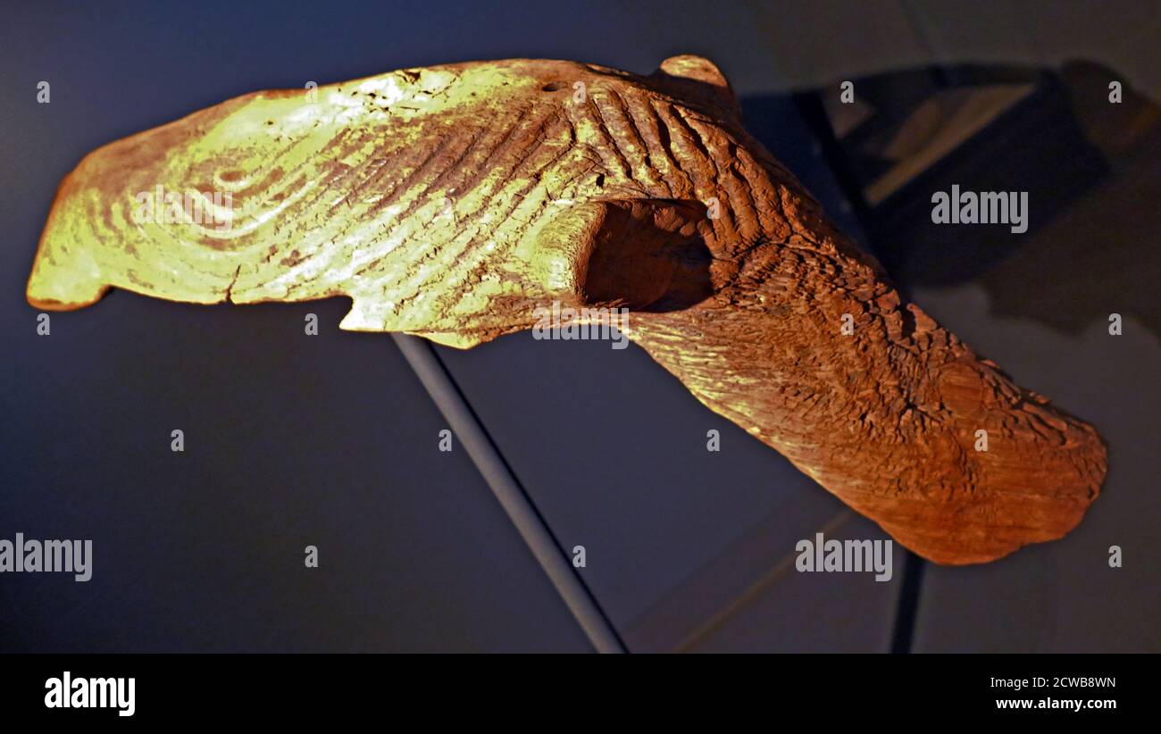 The oldest wooden sculpture that has ever been found in Liavela River, Angola, Africa. This animal head was discovered by chance in 1928 in Angola, at the bottom of a pit which had been bored to investigate whether mining was possible there. According to estimates the wood dates from the period between 750 and 850 AD, it is possible that the actual carving was carried out at a later date. Geometric decorations have been applied to the entire surface area. Stock Photo