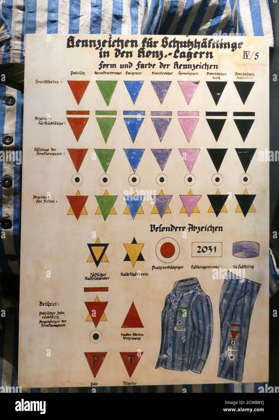 A chart of prisoner markings used in German concentration camps. Dachau, Germany, ca. 1938-1942. Beginning in 1937-1938, the SS created a system of marking prisoners in concentration camps. Sewn onto uniforms, the color-coded badges identified the reason for an individual's incarceration. Red indicated political prisoner, Green : Professional criminals; Blue: forced foreign labour; Purple: Jehovah's witness; Pink: homosexual; Black: workshy or lazy. Stock Photo