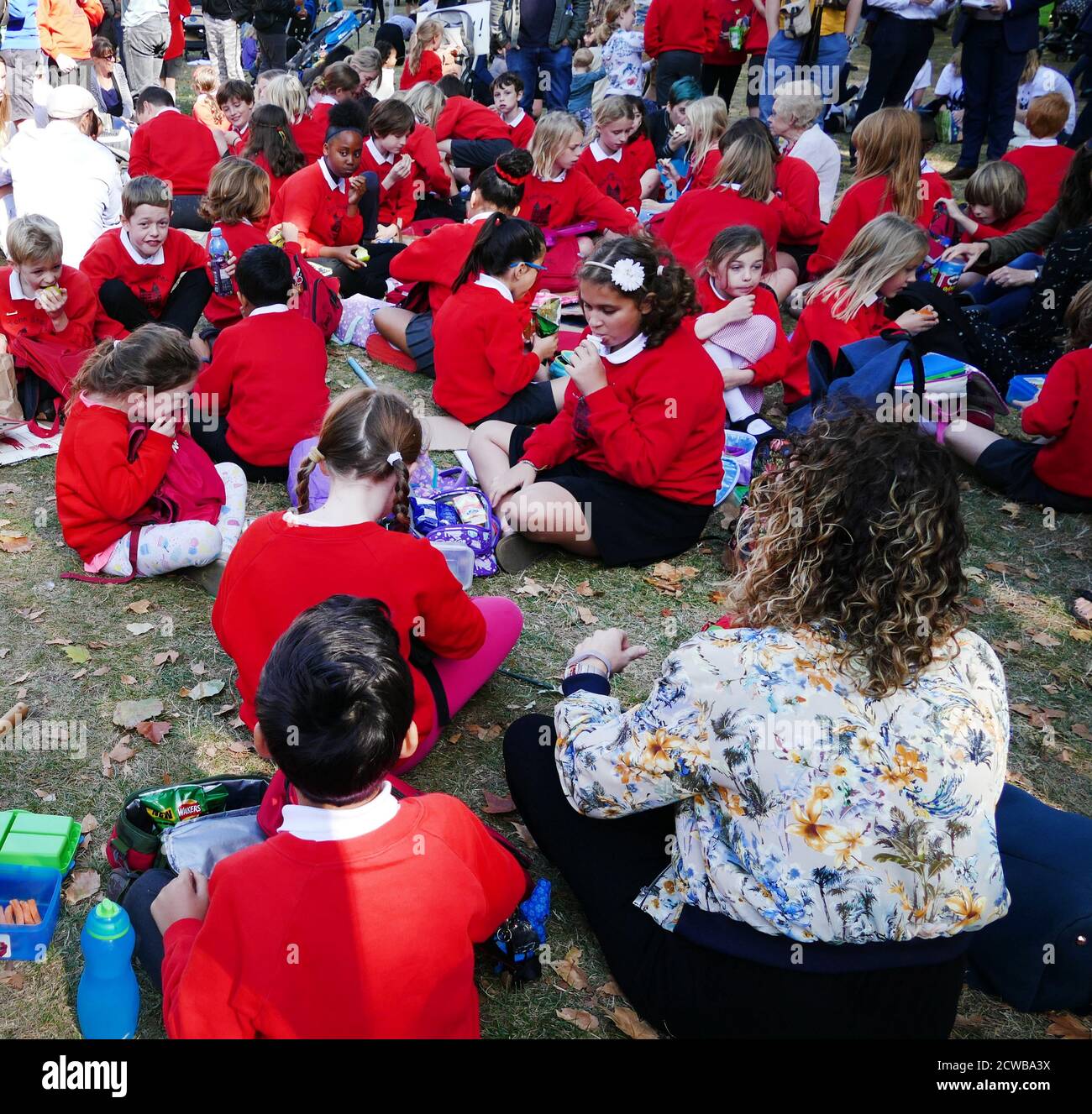 School children in Victoria Park, near Parliament, London, during the 20th September 2019 climate strike. Also known as the Global Week for Future, a series of international strikes and protests to demand action be taken to address climate change. The 20 September protests were likely the largest climate strikes in world history. Organisers reported that over 4 million people participated in strikes worldwide, including 300000 people joined UK protests. Greta Thunberg, (born 3 January 2003), Swedish environmental activist, credited with raising global awareness of the risks posed by climate ch Stock Photo