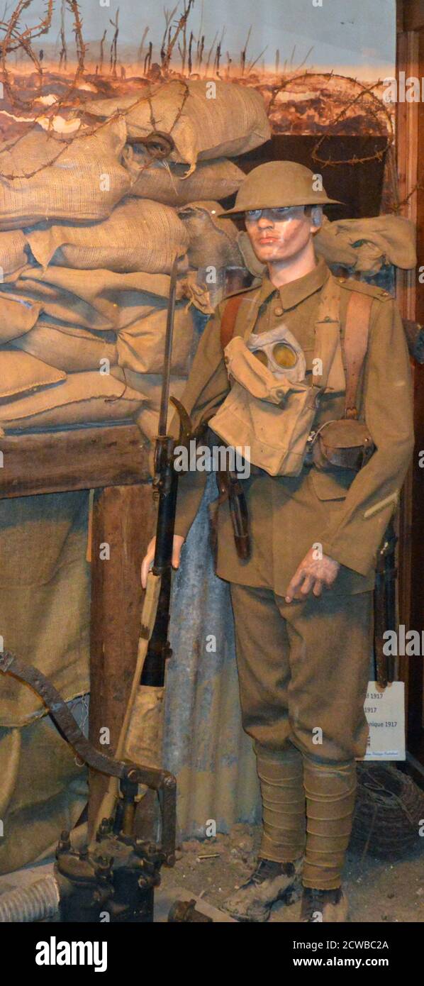 reconstructed model of a first world war, British soldier, in a trench in Belgium. 2020 Stock Photo