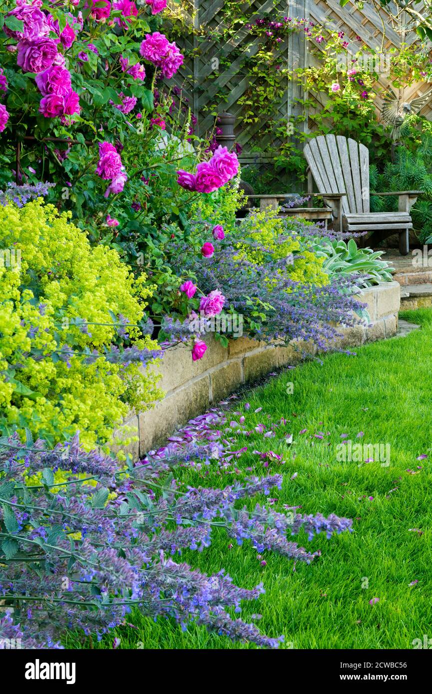 Landscaped, private garden (contemporary design, colourful summer border plants & flowers, patio furniture seating & lawn) - Yorkshire, England, UK. Stock Photo