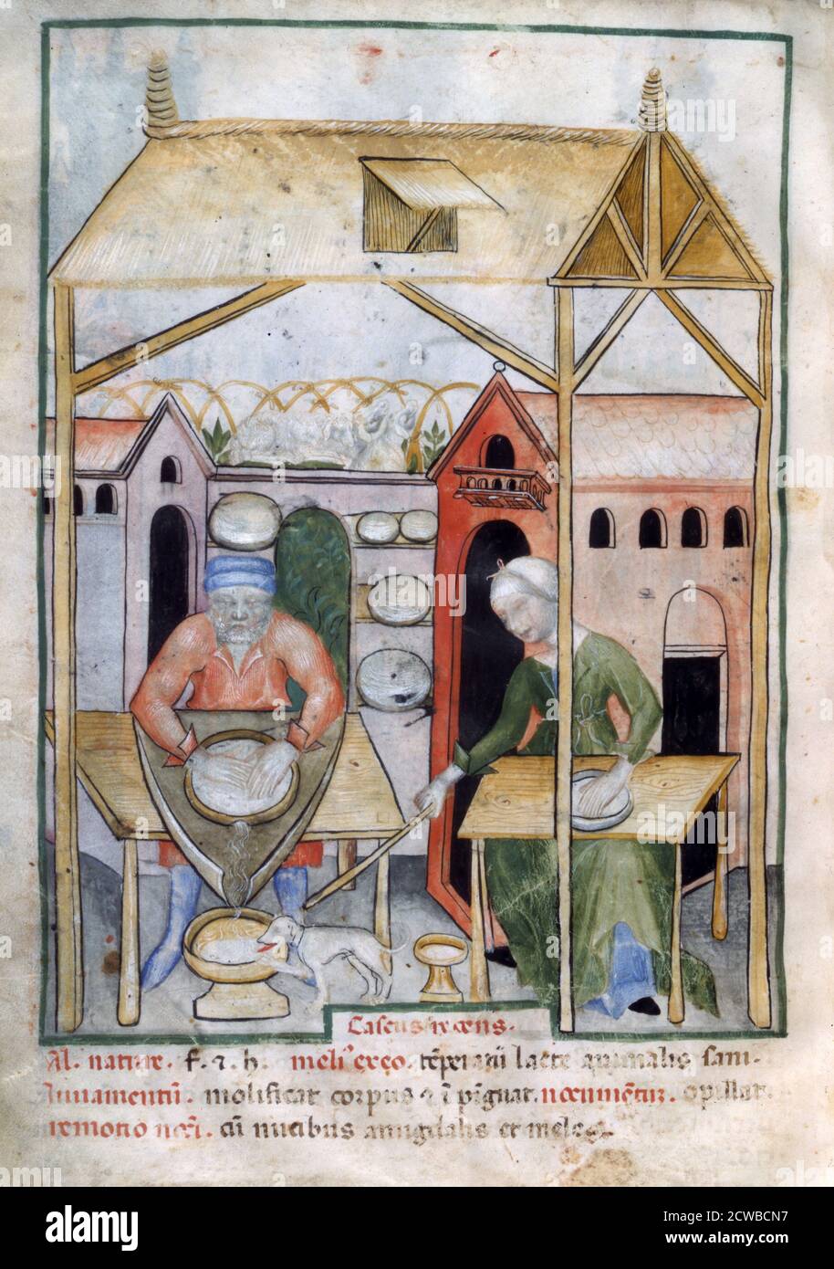 Cheese manufacture, 1390-1400. A woman waves a stick at a dog drinking the whey from some freshly made cheese. Illustration from Tacuinum Sanitatis, illuminated medical manual based on texts translated from Arabic into Latin, in the collection of the Bibliotheque Nationale, Paris. The artist is unknown. Stock Photo