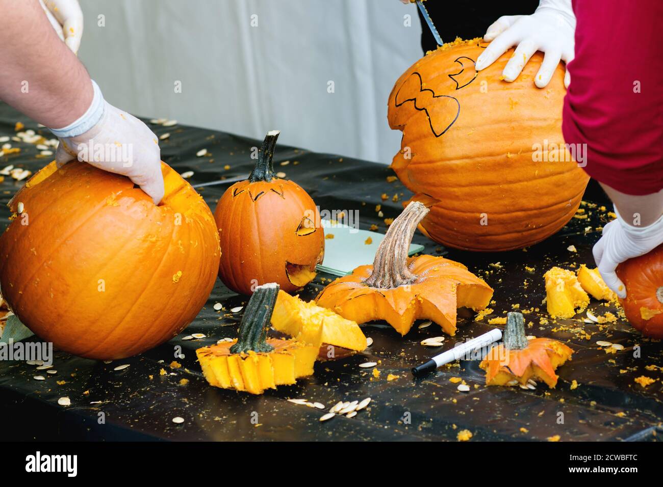 Process of Making Halloween pumpkins. Hands in rubber gloves sliced the pumpkin by small hacksaw. Stock Photo