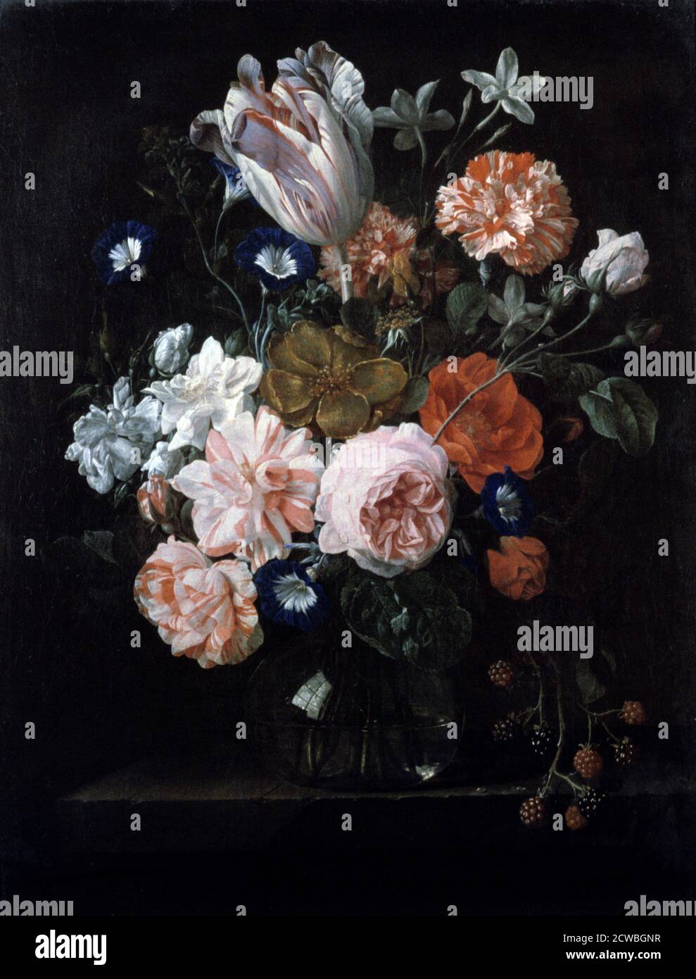 17世紀 花卉画 画集 17th-century Flower Painting 17世紀 花卉画 画集 17th-century Flower Painting In Full Bloom