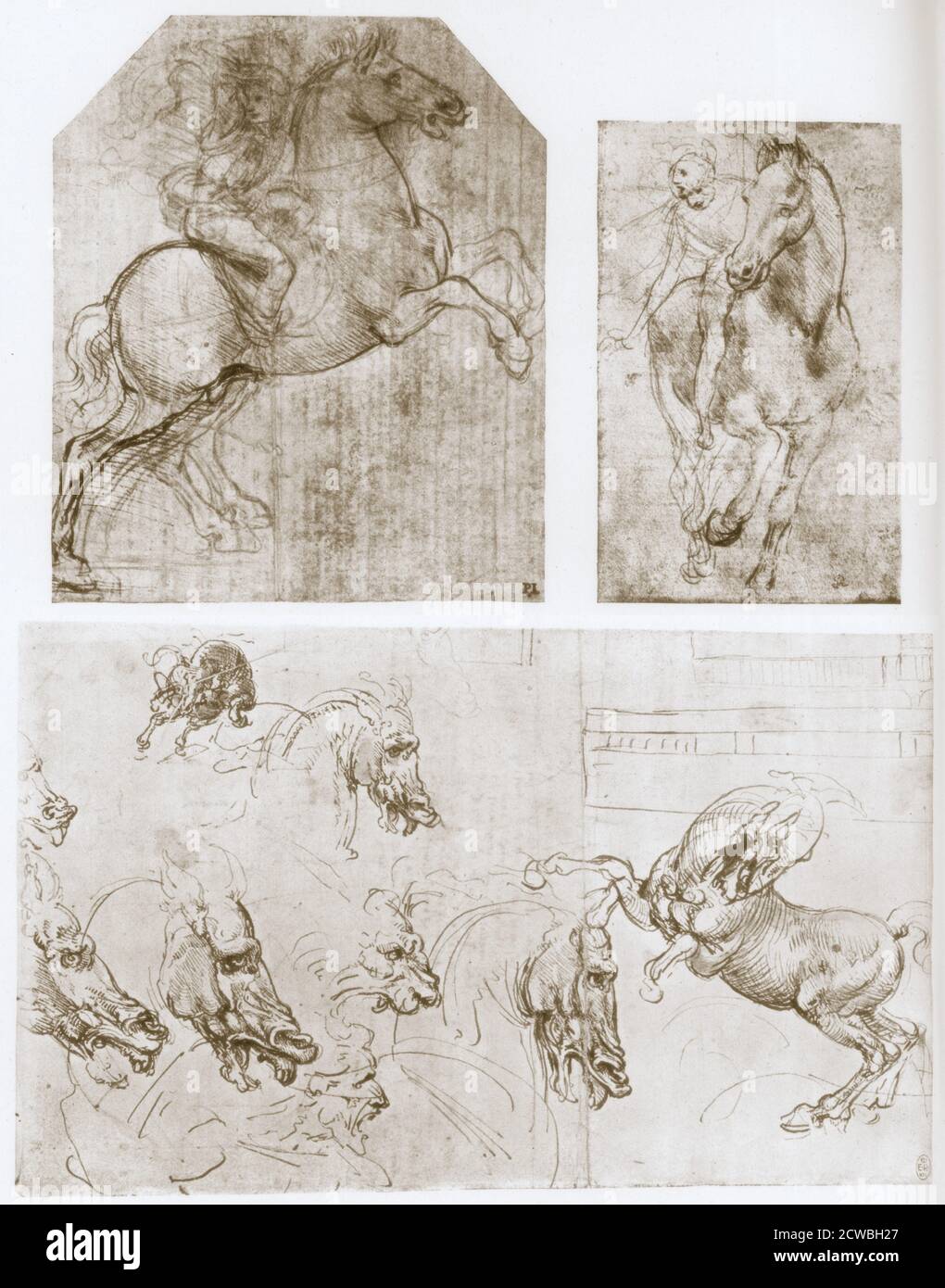 Horseman' by Leonardo da Vinci, 1480-1481. Study for 'The Adoration of the Kings', from the collection of Captain Colville, London, England; top right: 'Horseman', 1480-1481, Study for 'The Adoration of the Kings', from the collection of John Nicholas Brown, Rhode Island, U.S.A.; bottom: 'Horse, Lion's Head, and Face of Man, c1504, Studies for 'The Battle of Anghiari', from the collection of the Royal Library, Windsor Castle, Windsor, England. Stock Photo