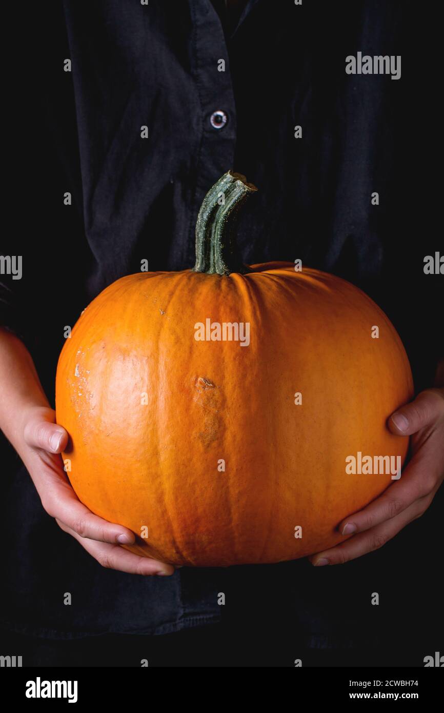 Big orange Pumpkin in child's hands over black background Stock Photo