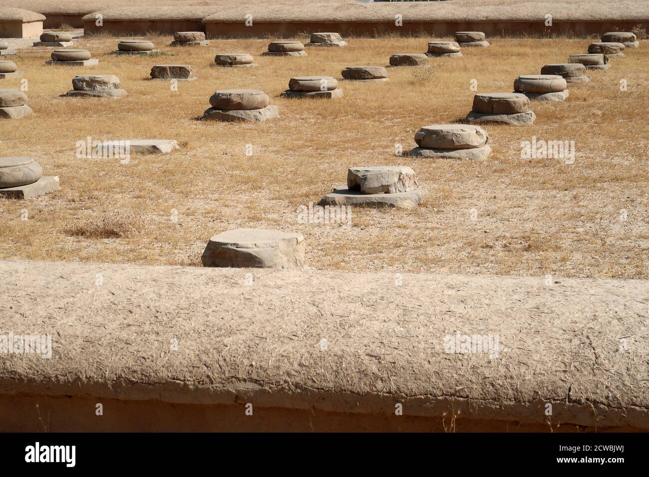 Photograph of the Treasury of Persepolis, belongs to the oldest building phase of Persepolis, the great design by King Darius I the Great Stock Photo