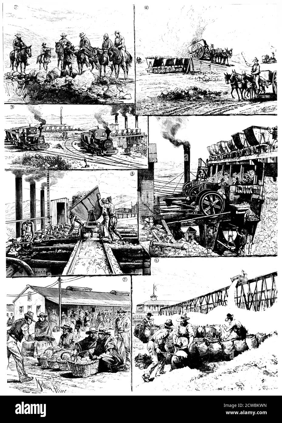Engraving depicting Primitiva Nitrate Works in Chile. 1) Examining the nitrate grounds. 2) Tipping caliche into railway wagons. 3) Railway system, Primitiva Works. 4) Crushing caliche. 5) Tipping caliche into boilers. 6) Bagging nitrate for export. 7) Workers and natives outside the factory store. Stock Photo