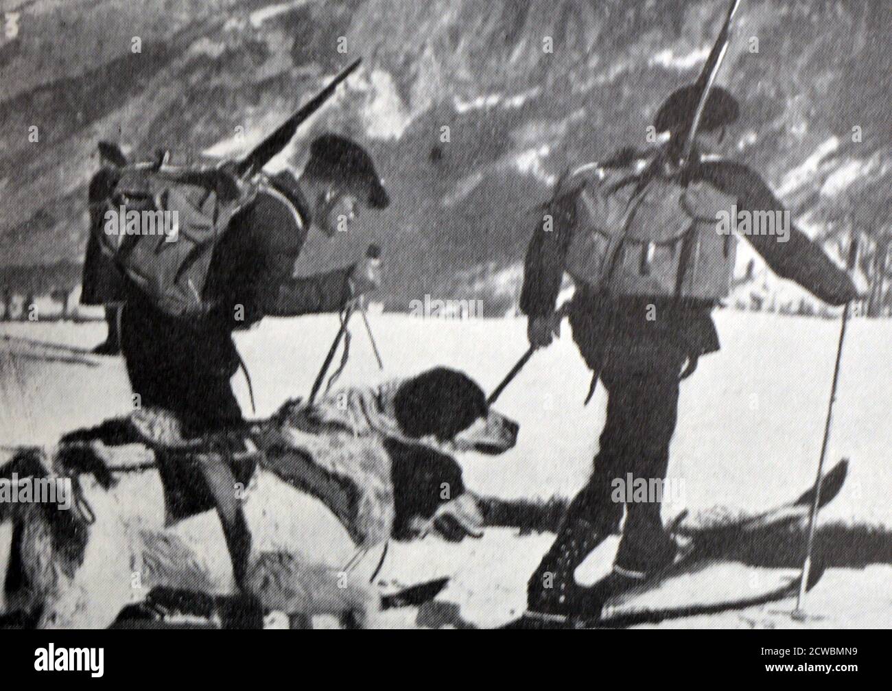 Black and white photograph of life on the front; Alpine hunters with their Saint Bernard dogs. Stock Photo