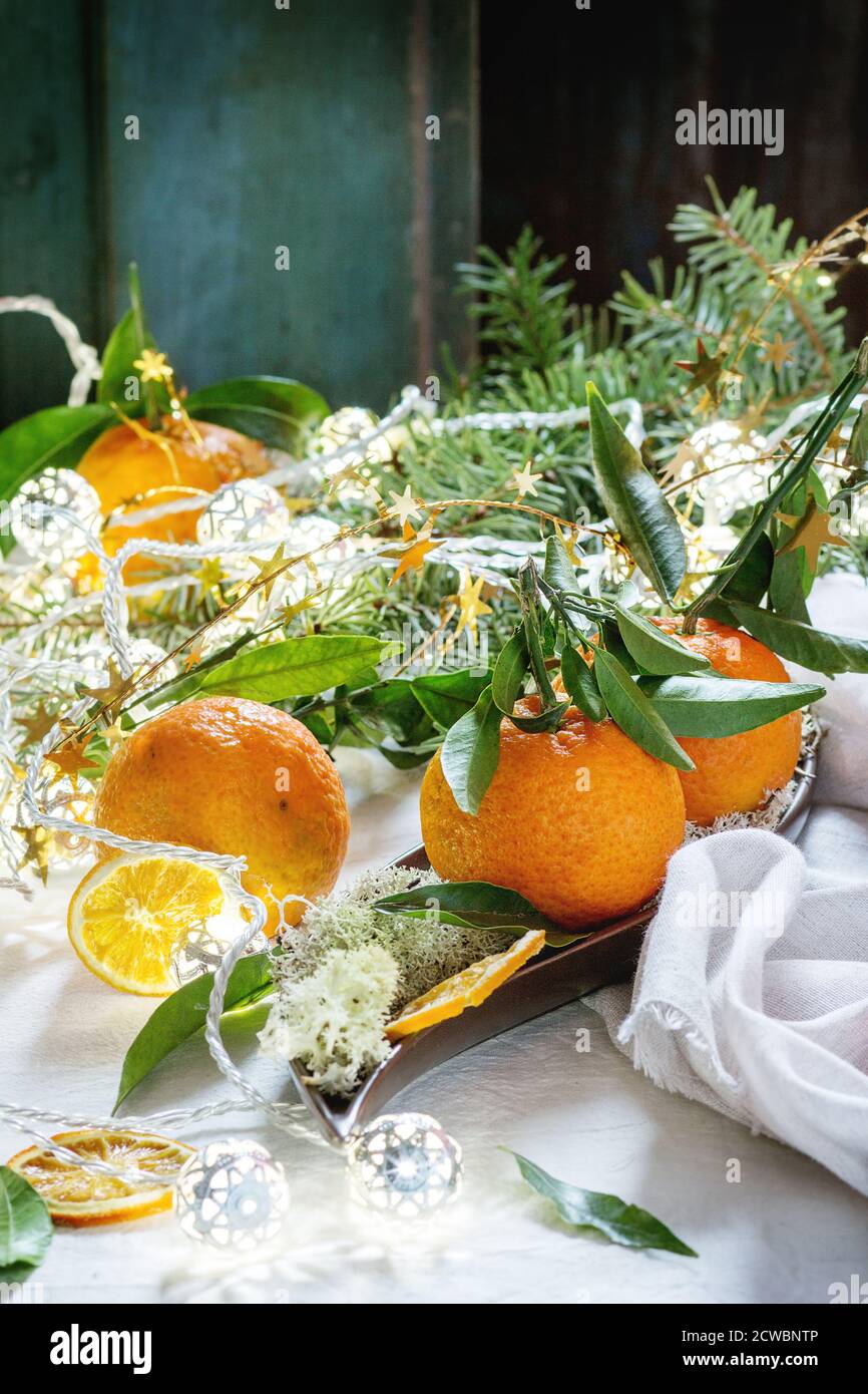 Tangerines with leaves in festive decor with Christmas tree, moss, dry orange and illuminated