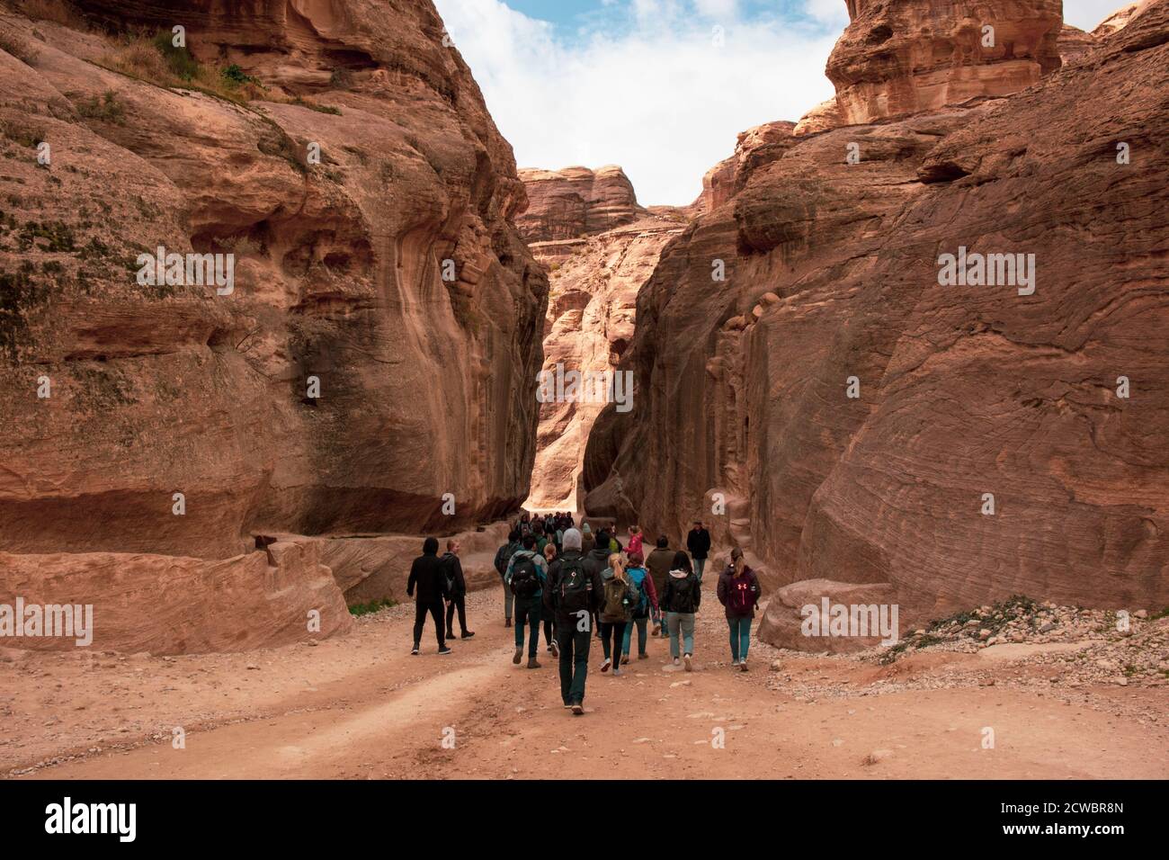 Petra wildlife hi-res stock photography and images - Alamy
