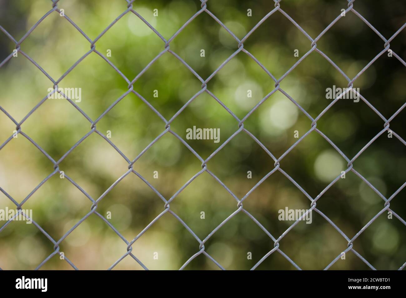 Field steel grid fence, metal fence wire with grass in the background. Stock Photo