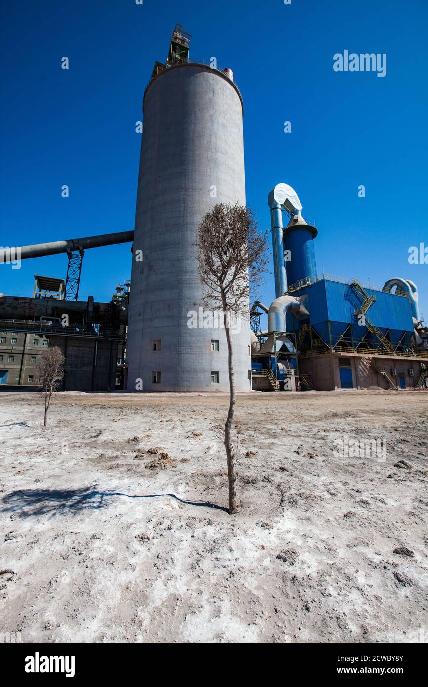 Ecology concept. Tree grows in salty soil (solonchak) in Kazakhstan desert. Giant industrial plant. Cement plant near Balkhash lake. Tower silo Stock Photo