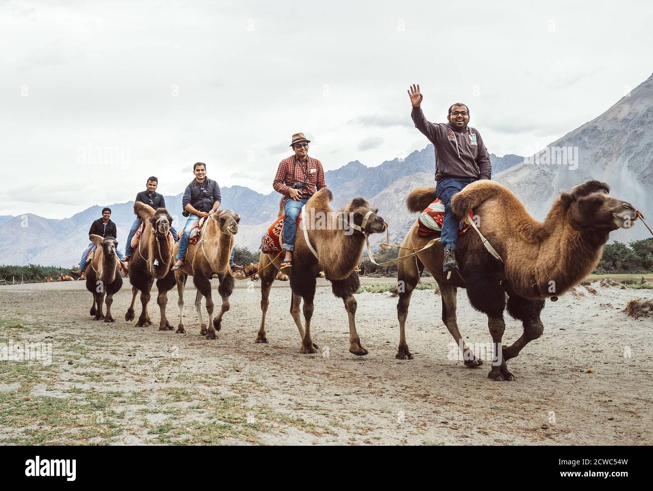 Hundar village in Leh district , Jammu and Kashmir, India - August 21, 2016: Tourists ride the unique camels of the highest mountain desert. Very popu Stock Photo
