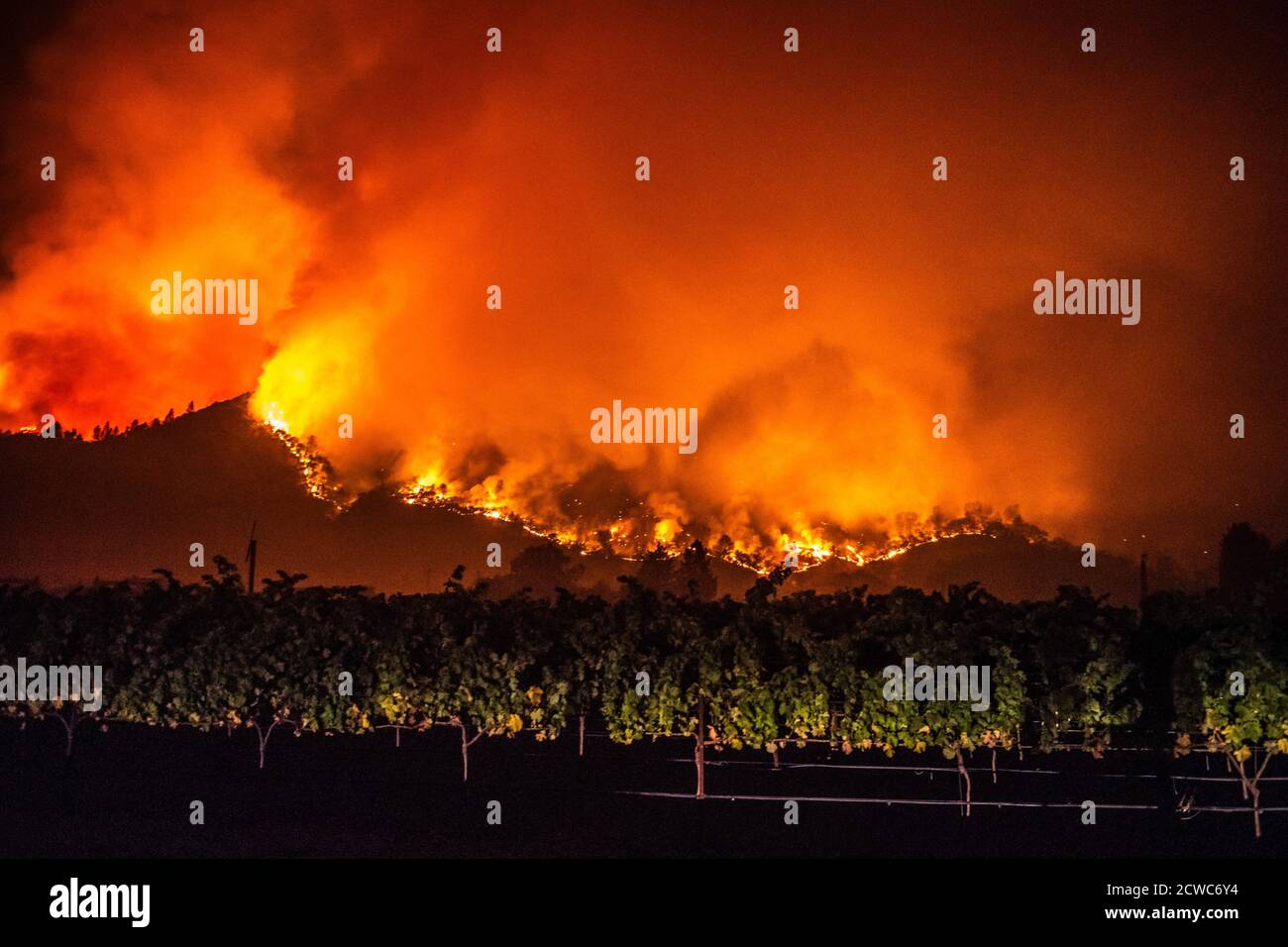 Calistoga, United States. 28th Sep, 2020. CALISTOGA, CA - SEPTEMBER 28 ...