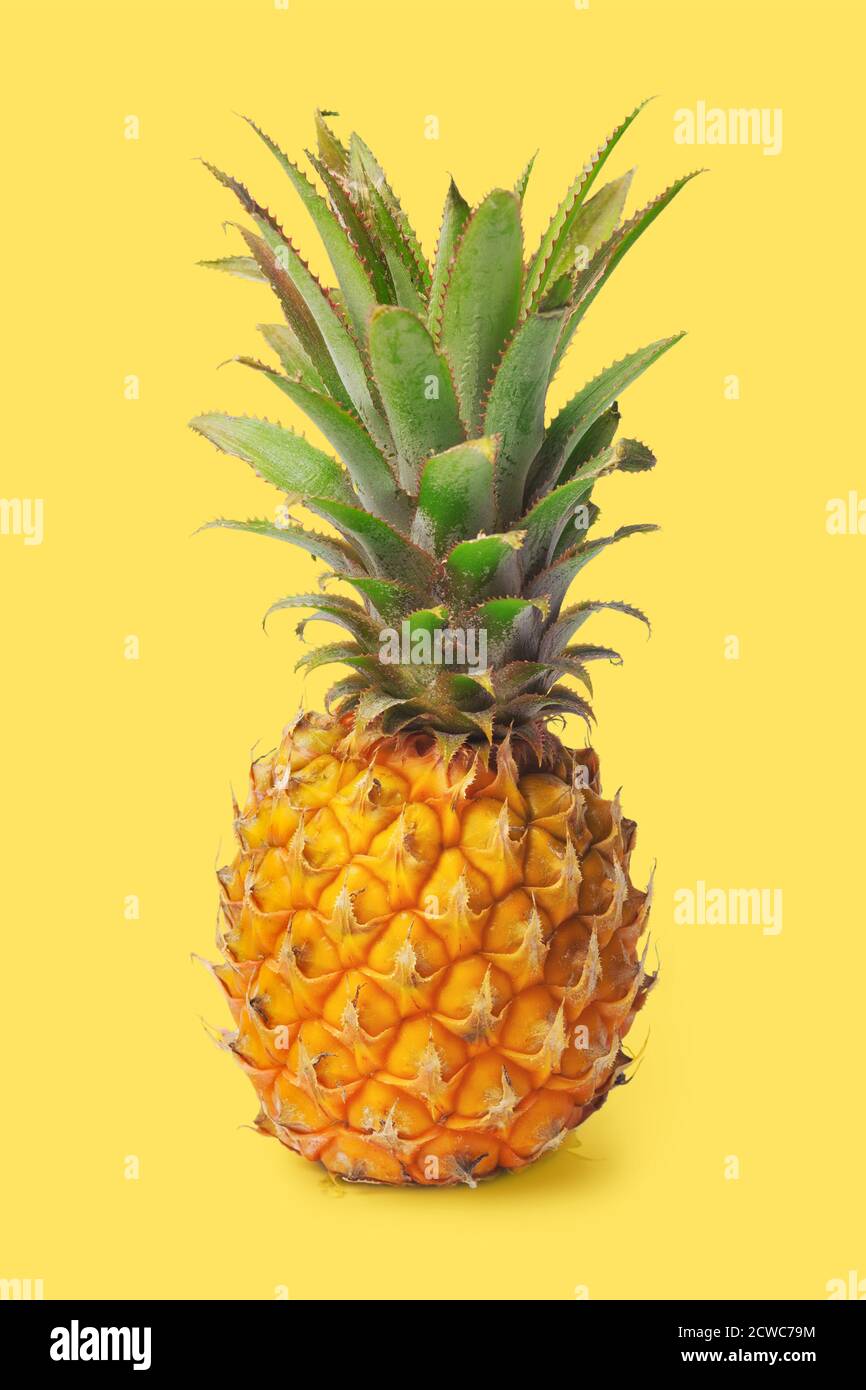 Isolated pineapple on a yellow background. Exotic fruits.  Stock Photo