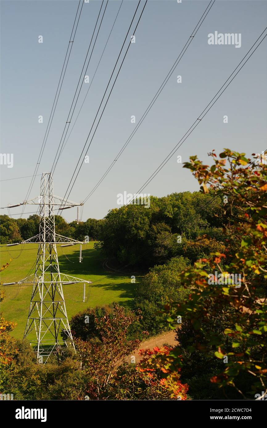 Farmer's fields with a transmission tower, electricity pylon, trees and power lines overhead against a blue sky Stock Photo
