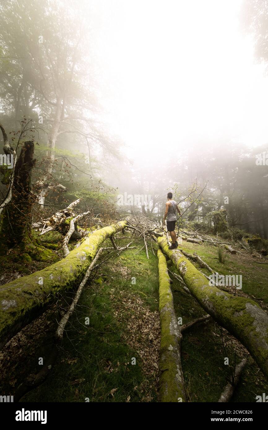 Man Standing In A Foggy Forest High Resolution Stock Photography and ...