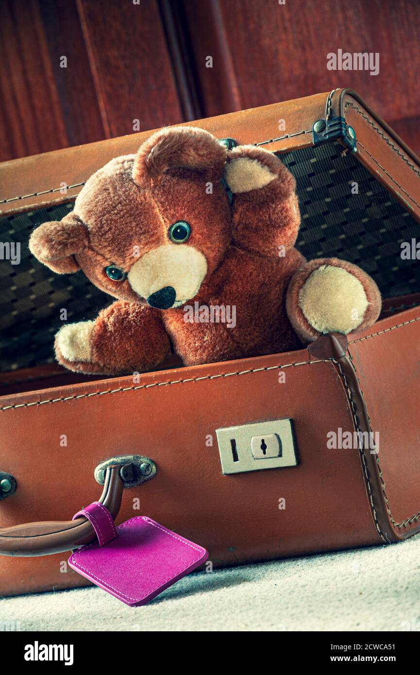STAYCATION TRAVEL TEDDY BEAR CHILD SUITCASE HOLIDAY Teddy Bear in vintage brown leather suitcase waving on holiday vacation Stock Photo